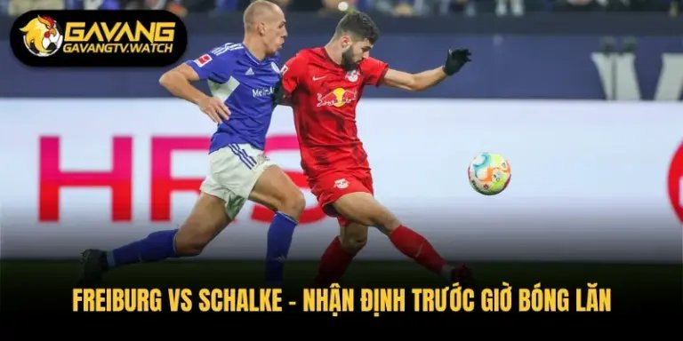 Freiburg vs Schalke – Nhận Định Trước Giờ Bóng Lăn